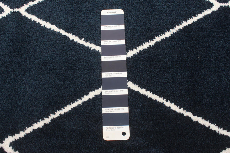 August Navy-White 7'10\" x 10'2\" Area Rug