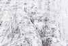 Trudel Grey Area Rug - 3'11" X 5'7" 
