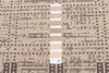 Joni Tan Area Rug - 2'2" X 3'11" 
