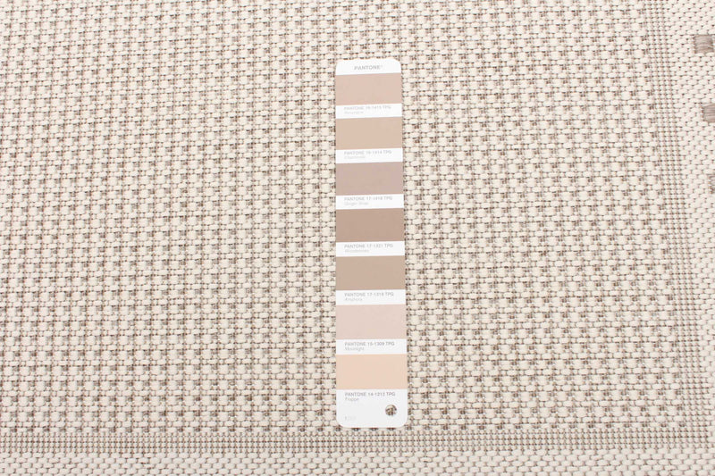 Clementine Ivory Area Rug - 2'2\" X 6'7\" 