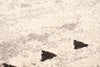 Raja Ivory-Red Area Rug - 3'11" x 5'7"
