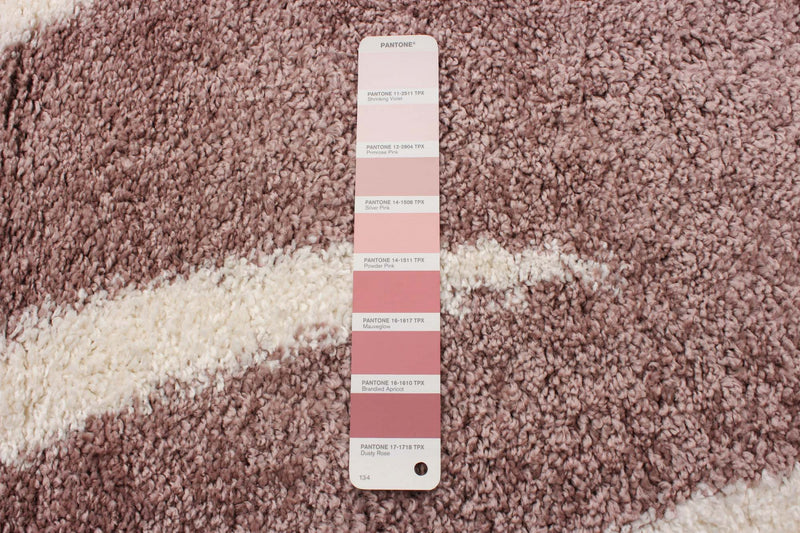 Luci Pink Shag 3'11\" x 6'0\" Area Rug