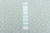 Neisha Diamond Mint Rug 6'7" X 9'6" Area Rug