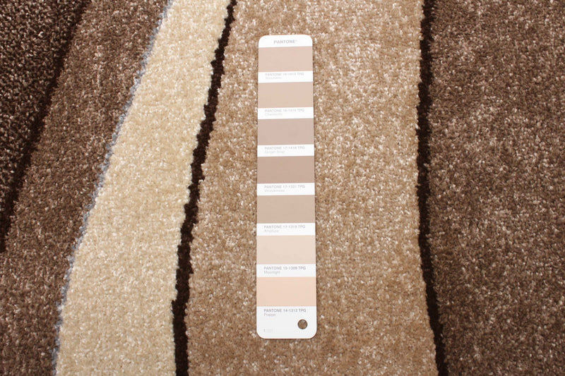 Branda Tan Area Rug - 6'7\" X 9'10\" 