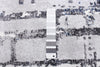 Jewel Grey Area Rug - 3'11" X 5'7" 