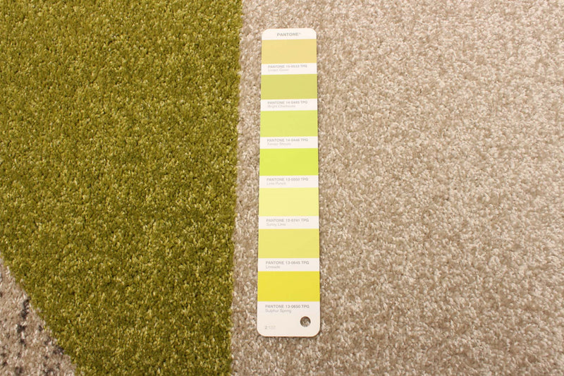 Hadley Grey / Green 3'11\" x 5'7\" Area Rug