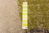 Ellegance Ivory / Green 7'10" x 10'2" Area Rug