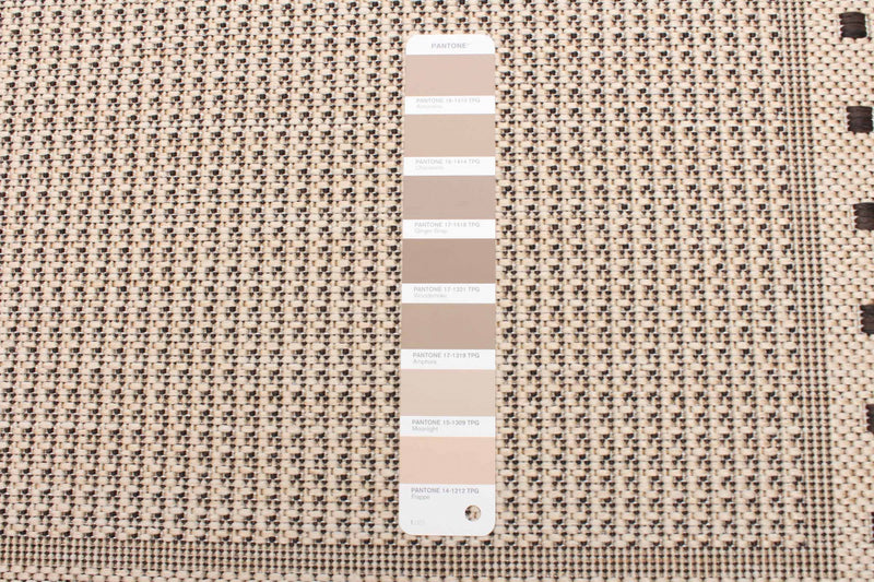 Clementine Cream Area Rug - 2'2\" X 6'7\" 