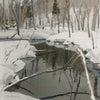 "In The Deep Woods" Giant Art 54x54 Wall Art