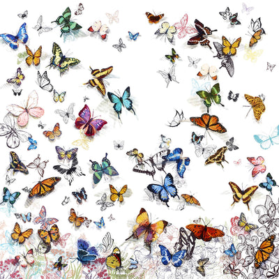 "Papillon" Giant Art 54x54 Wall Art