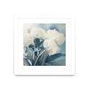 "White Roses I" Matted and Framed White 36x36 Wall Art