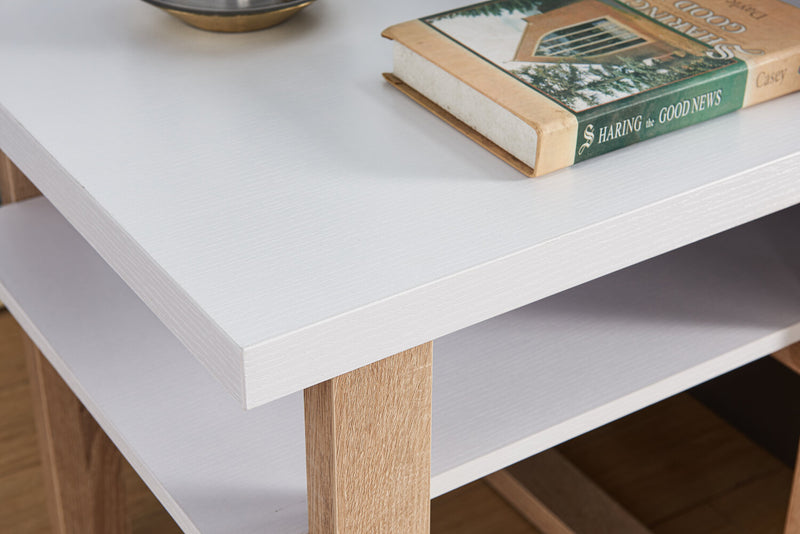 Izaac 47.25\" Modern Coffee Table with Storage and Shelf - White and Brown 