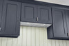Broan 30" Built-In Power Pack Insert - BBN2303SS 