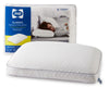Sealy® Classic Memory Foam Pillow | Oreiller Sealy Classic en mousse à mémoire de forme