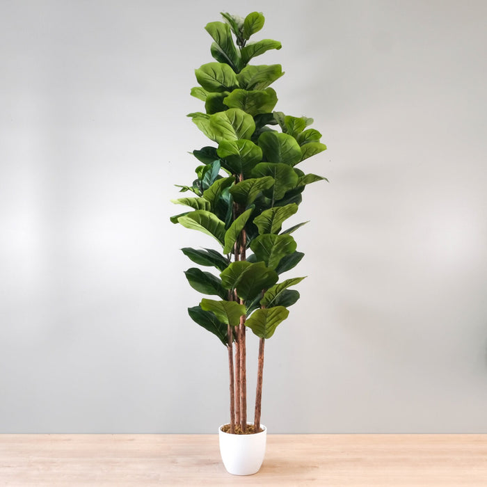 Fiddle Fig 71\" Artificial Plant