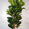 Fiddle Fig 71" Artificial Plant | Plante artificielle figuier lyre 71 po