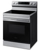 Samsung 6.3 Cu. Ft. Freestanding Electric Range with Wi-Fi - NE63A6111SS/AC 