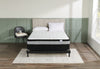 Springwall 2023 Low-Profile Full Boxspring 