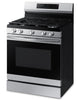 Samsung 6.0 Cu. Ft. Freestanding Gas Range with Fan Convection - NX60A6511SS/AA 