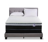 Springwall 2" Silver Luxury Firm Queen Mattress Topper | Surmatelas luxueux ferme Silver de Springwall 2 po pour grand lit